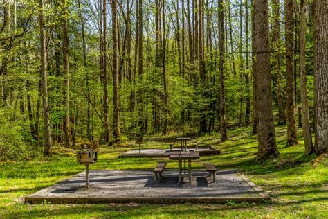 Finding Bliss in Nature: Magic Mountain Picnic Area
